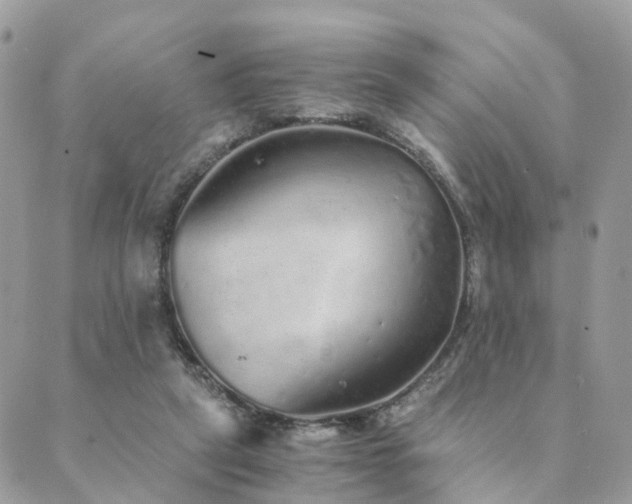 X0000089930257200706291205