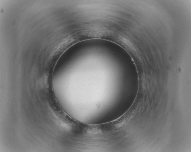 X0000089930258200706291205