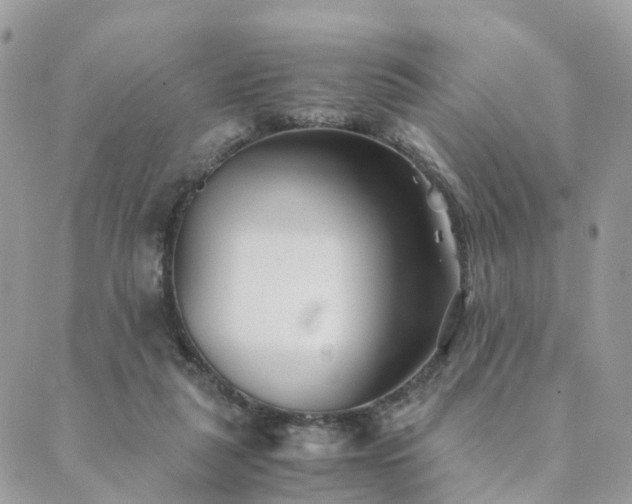 X0000089930259200706291205