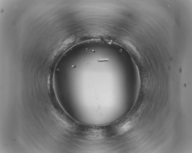 X0000089930260200706291205