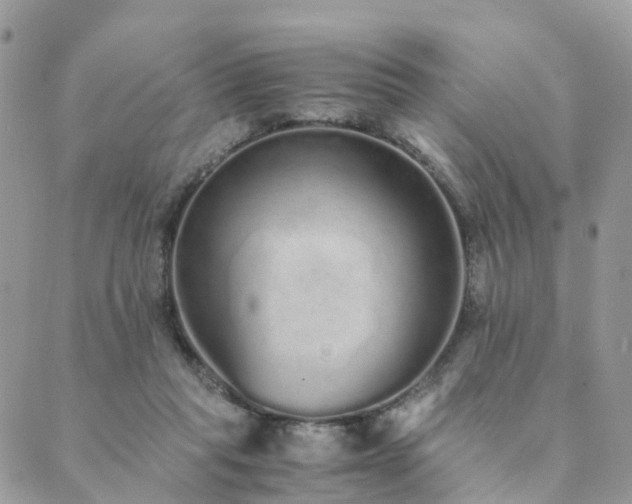 X0000089930261200706291205