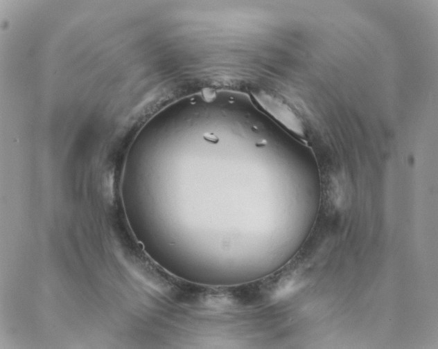 X0000089930262200706291205