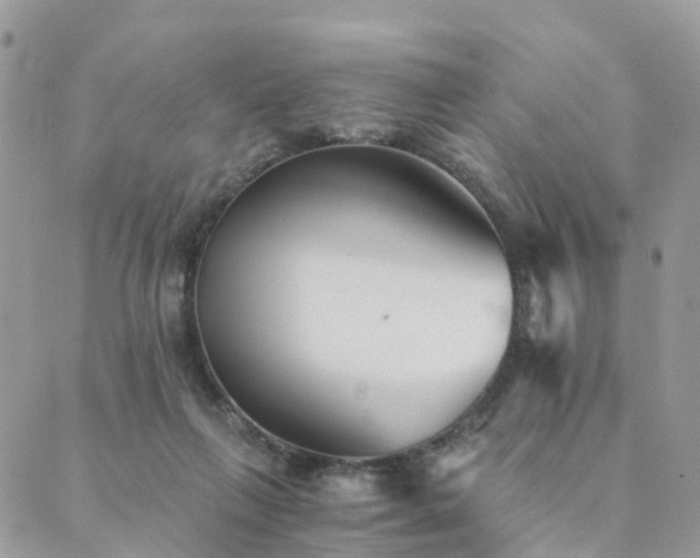 X0000089930263200706291205