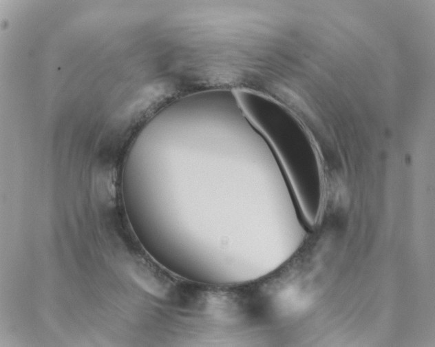 X0000089930264200706291205