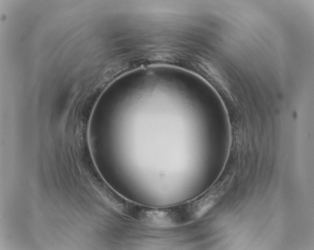 X0000089930265200706291205