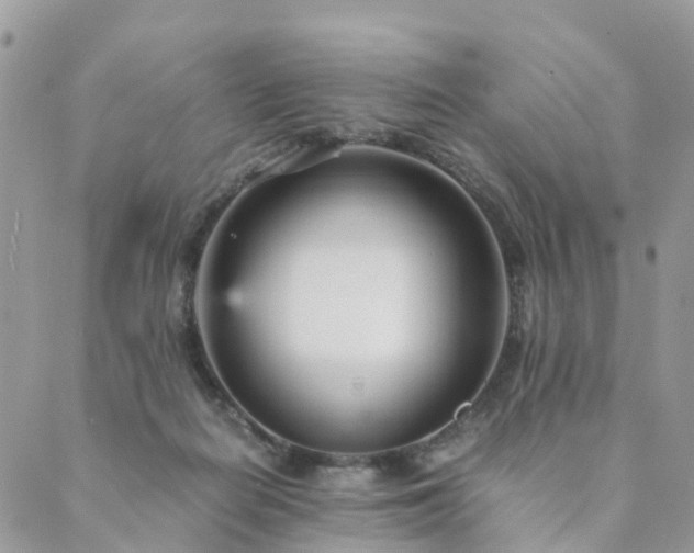 X0000089930266200706291205