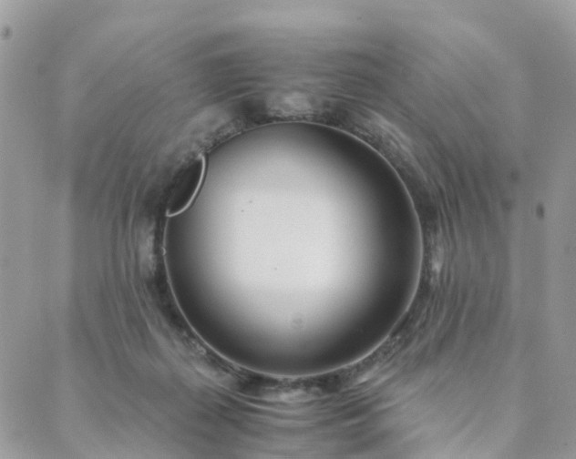 X0000089930267200706291205