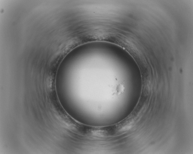 X0000089930268200706291205