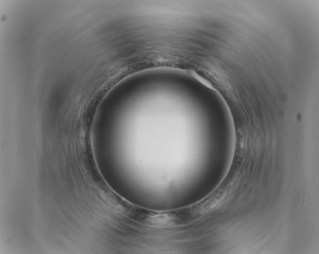 X0000089930269200706291205