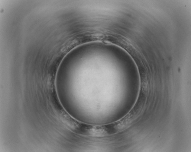 X0000089930270200706291205