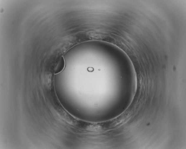 X0000089930271200706291205