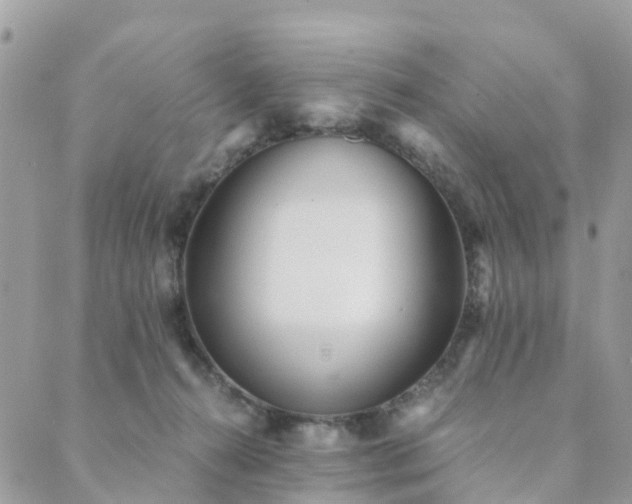 X0000089930272200706291205