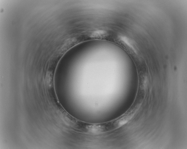 X0000089930273200706291205