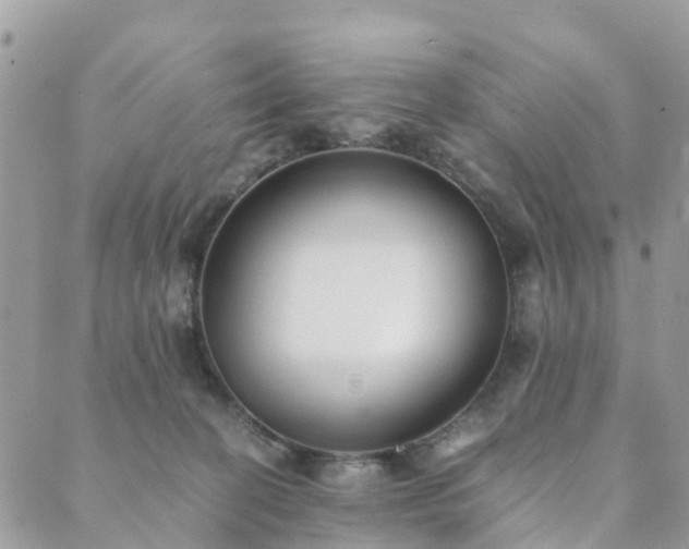 X0000089930274200706291205