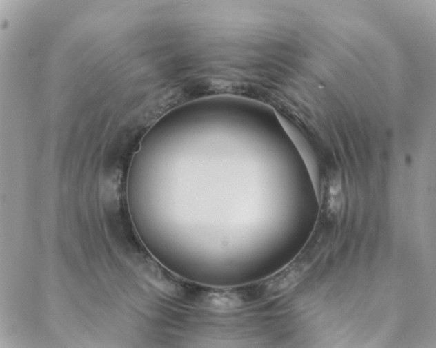 X0000089930275200706291205