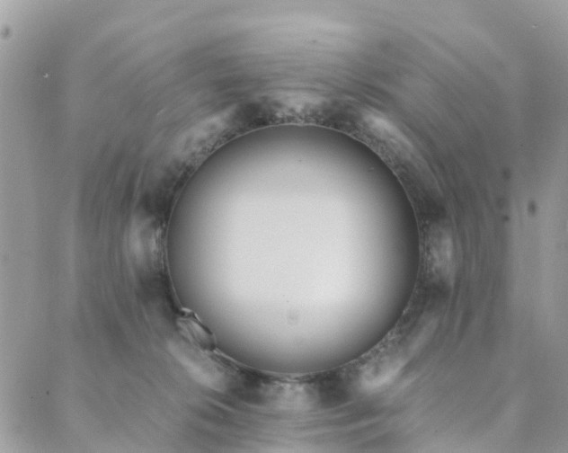 X0000089930276200706291205