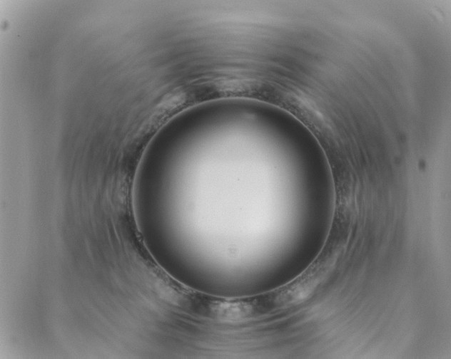 X0000089930277200706291205