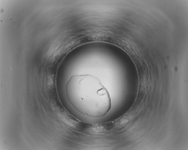 X0000089930278200706291205