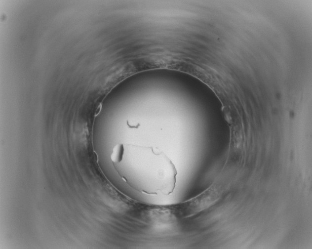 X0000089930279200706291205