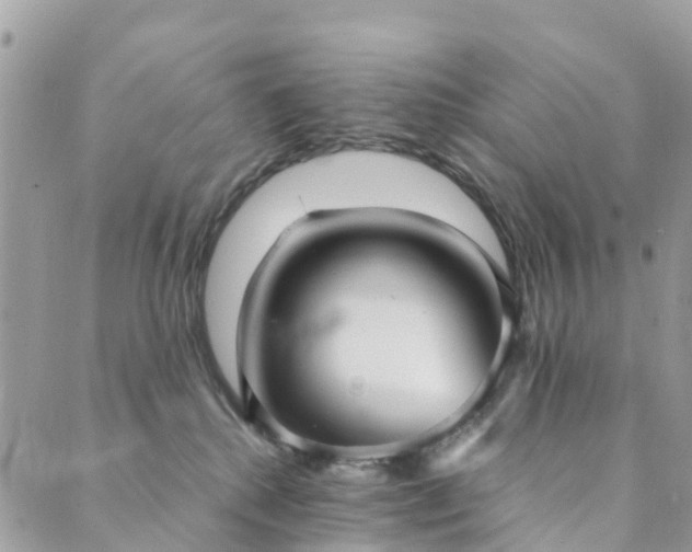 X0000089930280200706291205