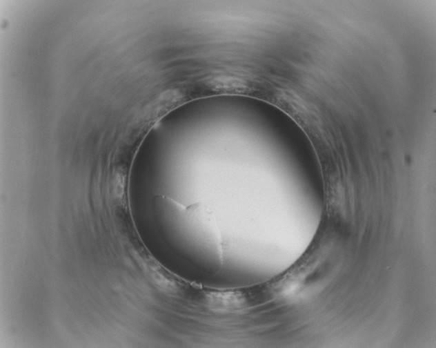 X0000089930281200706291205