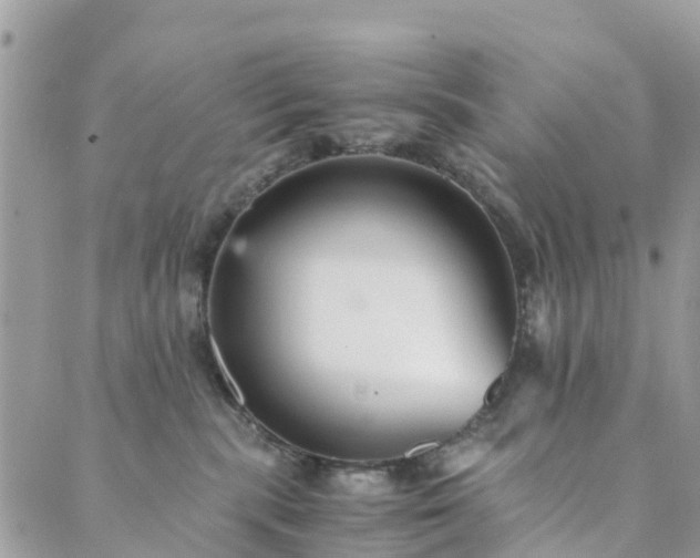 X0000089930283200706291205