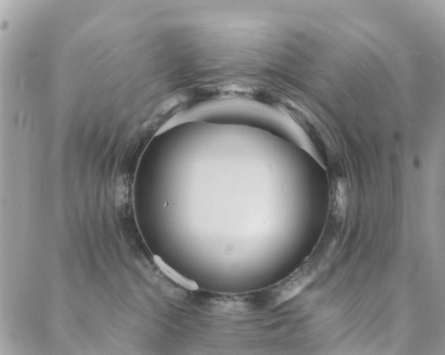 X0000089930284200706291205