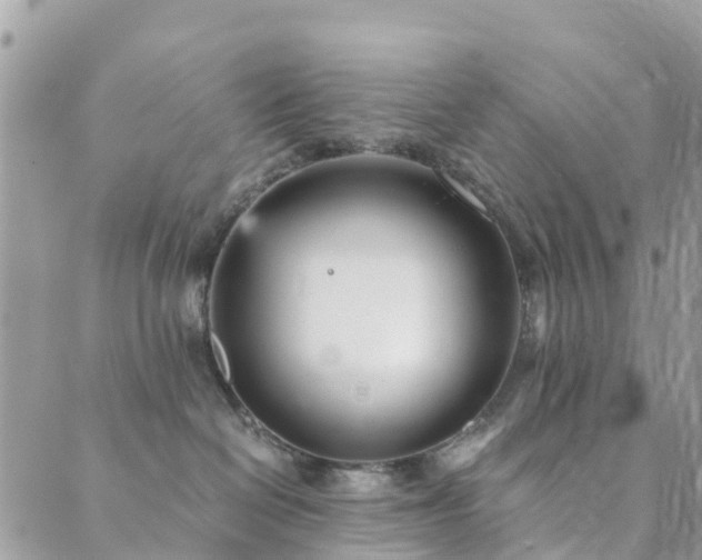 X0000089930286200706291205