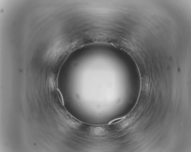 X0000089930287200706291205