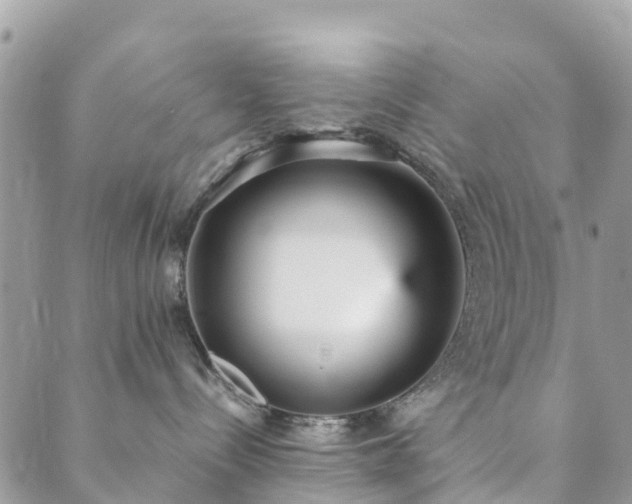 X0000089930288200706291205