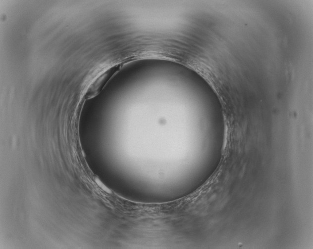 X0000089930289200706291204