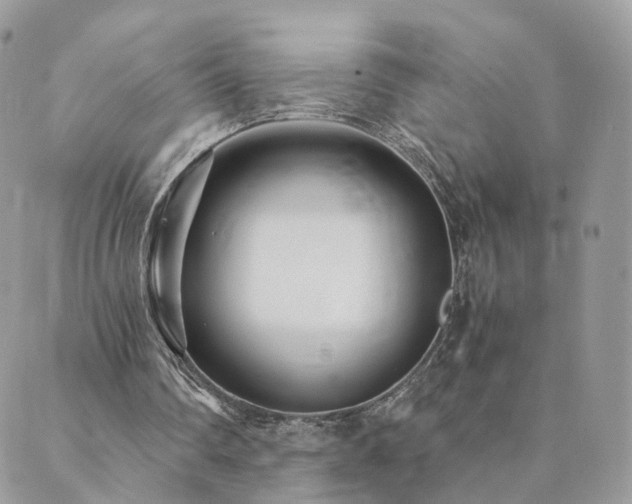 X0000089930290200706291204