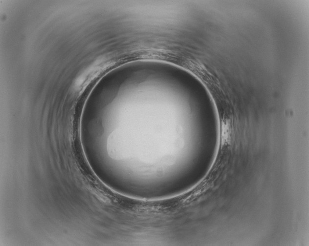 X0000089930291200706291204