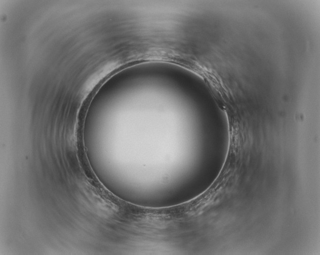 X0000089930292200706291204