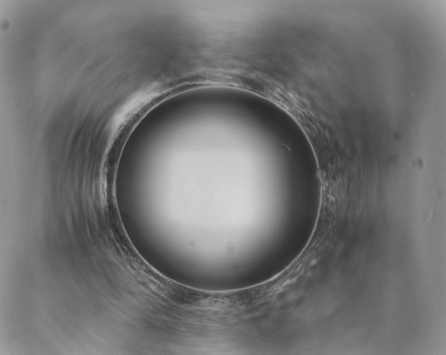 X0000089930294200706291204