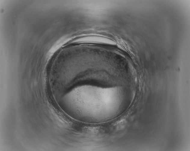 X0000089930295200706291204