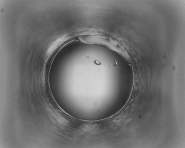 X0000089930296200706291204