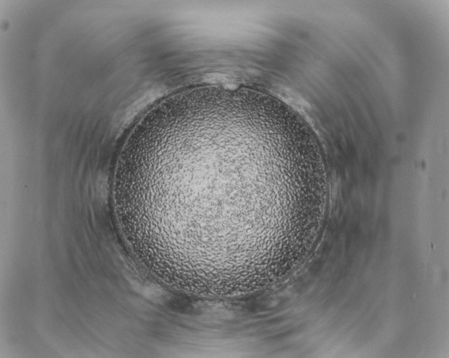 X0000089930297200706291204