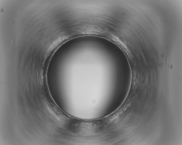 X0000089930298200706291204