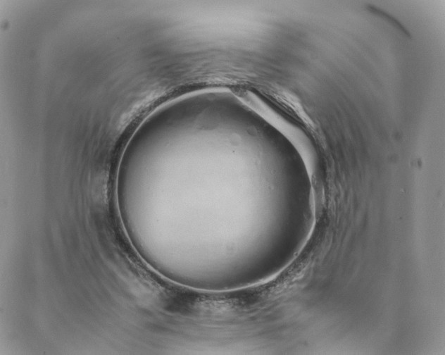 X0000089930299200706291204