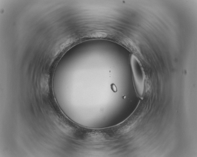 X0000089930300200706291204