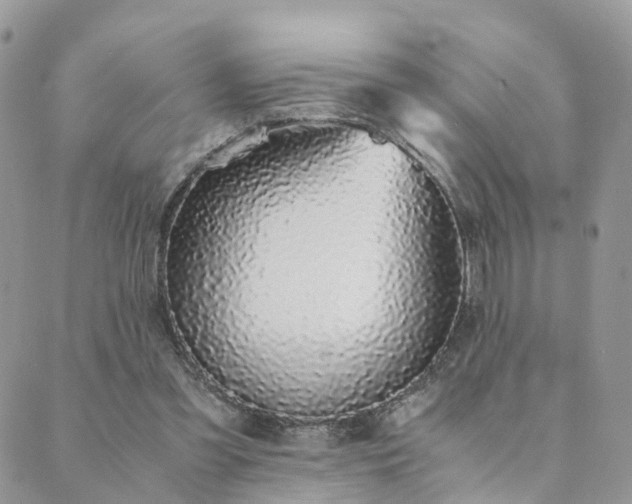 X0000089930301200706291204