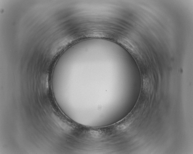 X0000089930302200706291204