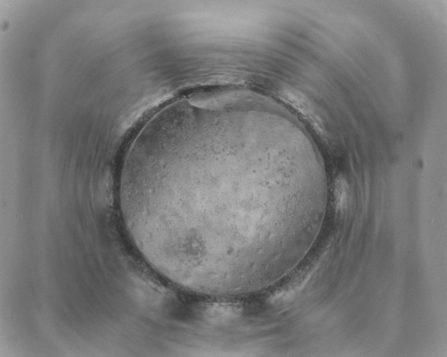 X0000089930303200706291204