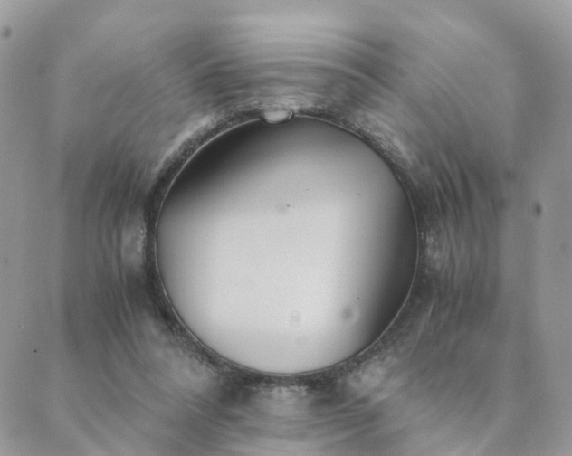 X0000089930304200706291204