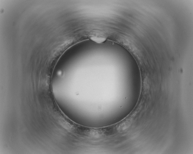 X0000089930305200706291204