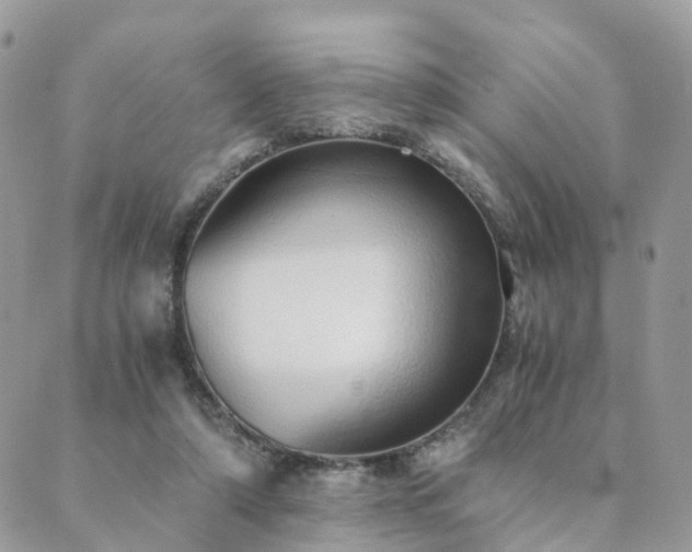 X0000089930306200706291204