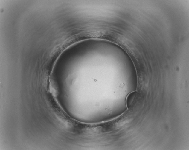 X0000089930307200706291204