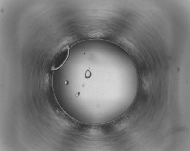 X0000089930308200706291204