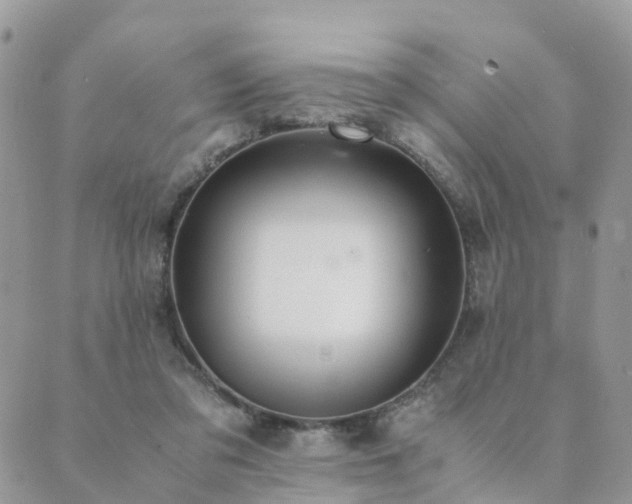 X0000089930309200706291204